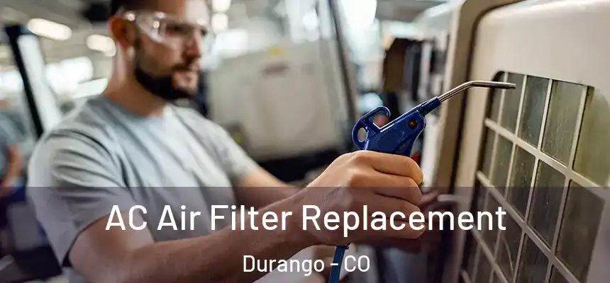  AC Air Filter Replacement Durango - CO