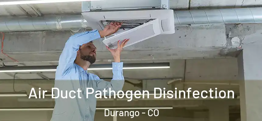  Air Duct Pathogen Disinfection Durango - CO