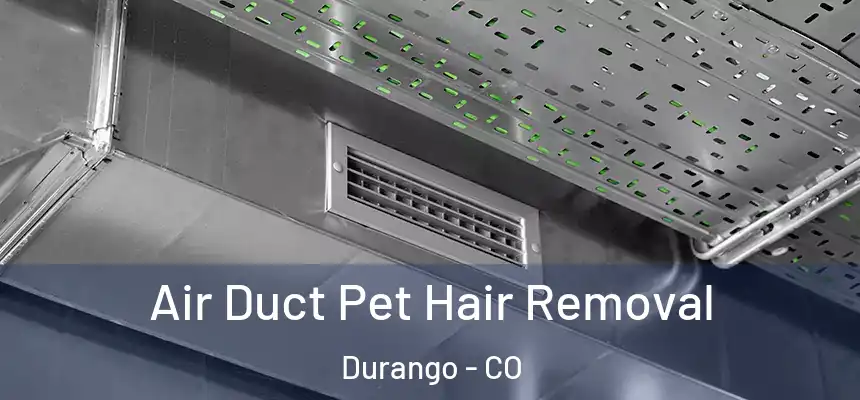  Air Duct Pet Hair Removal Durango - CO
