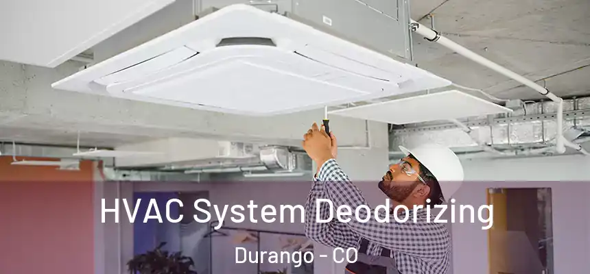  HVAC System Deodorizing Durango - CO