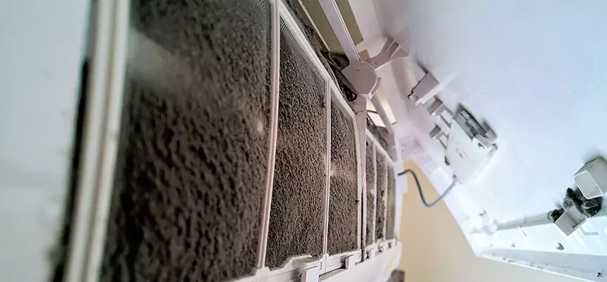 Preventive Air Duct Bacteria Removal in Durango