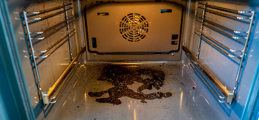 Our Dryer Vent Mold Cleaning Services in Durango, CO