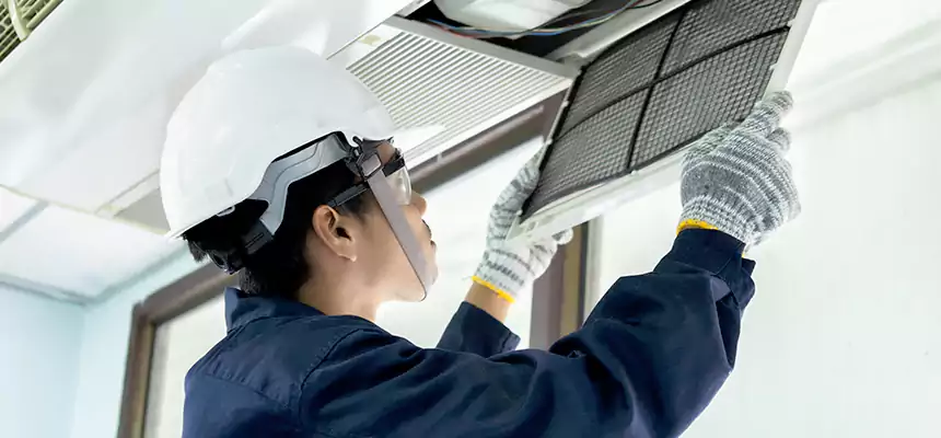 Our Mold & Mildew Removal from Air Ducts Services in Durango, CO