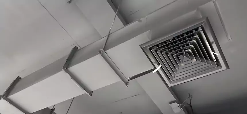 Our Rodent Droppings In Vents Services in Durango, CO