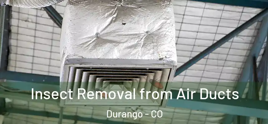  Insect Removal from Air Ducts Durango - CO