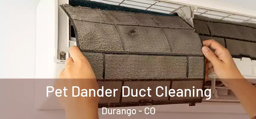  Pet Dander Duct Cleaning Durango - CO