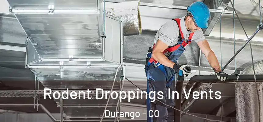  Rodent Droppings In Vents Durango - CO
