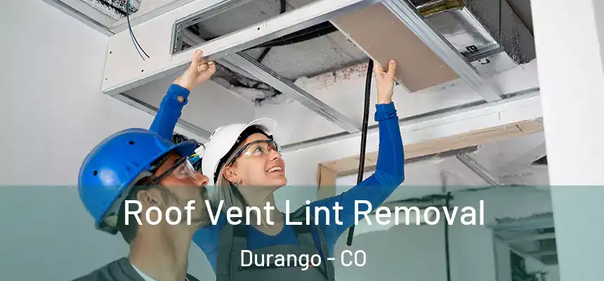  Roof Vent Lint Removal Durango - CO