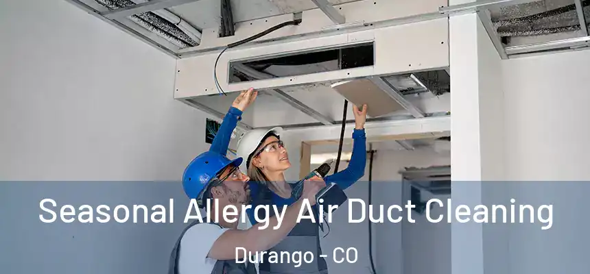  Seasonal Allergy Air Duct Cleaning Durango - CO