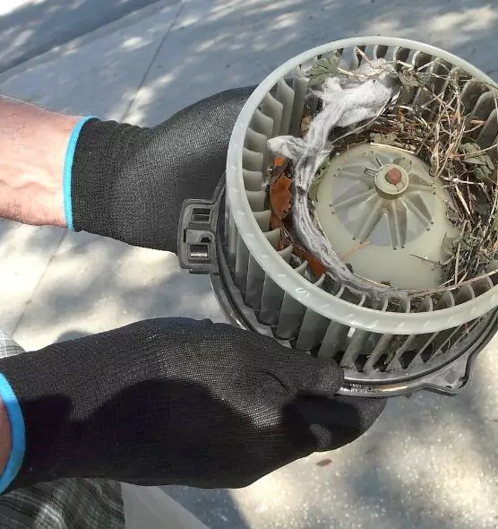 About Air Duct Mice Removal in Durango, CO