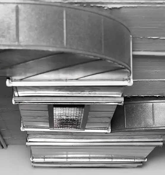 Professional Air Duct Pest Removal in Durango, CO