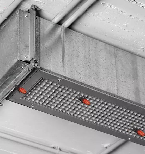 Affordable Insect Removal from Air Ducts in Durango, CO